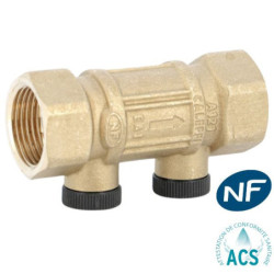 Clapet antipollution DF NF à purge P516042.jpg