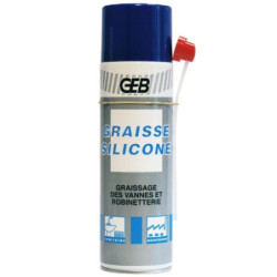 Bombe de graisse silicone A720035.jpg