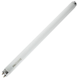 Tube neon A712157.jpg