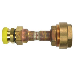 Raccord de transition Flexiclic PE P420783.jpg